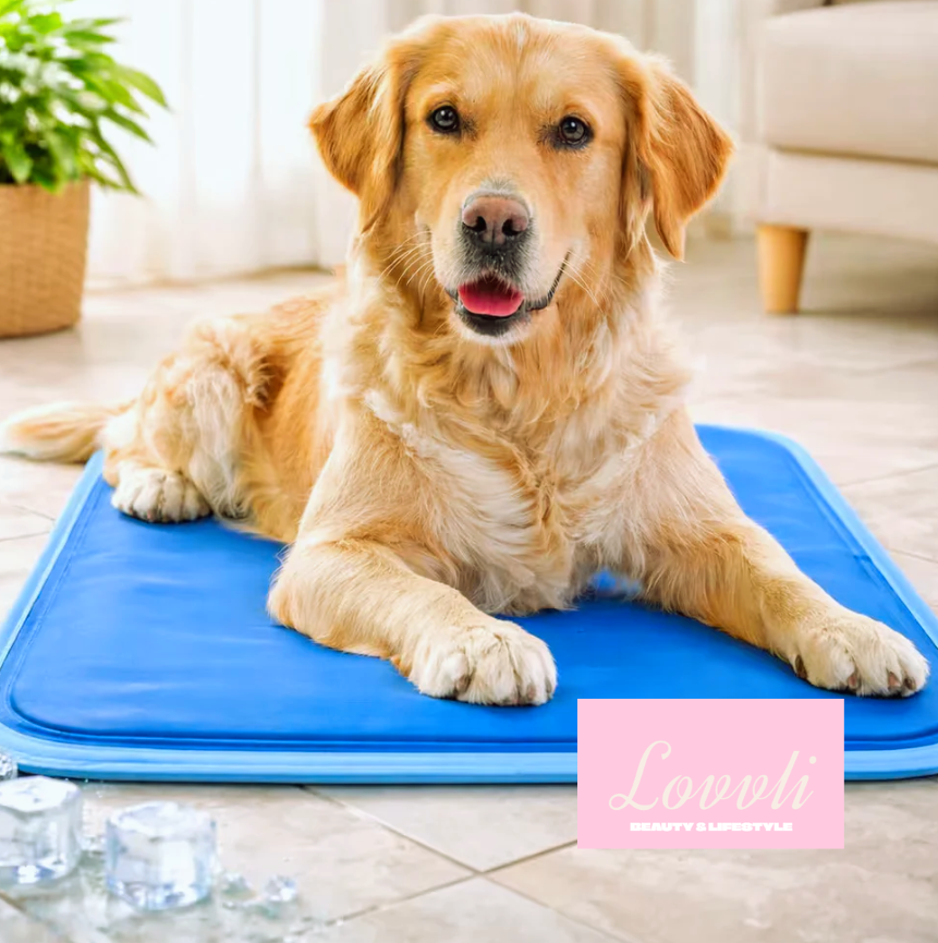 CoolPet®  Manta Refrescante para Mascotas🧊🐶🐱